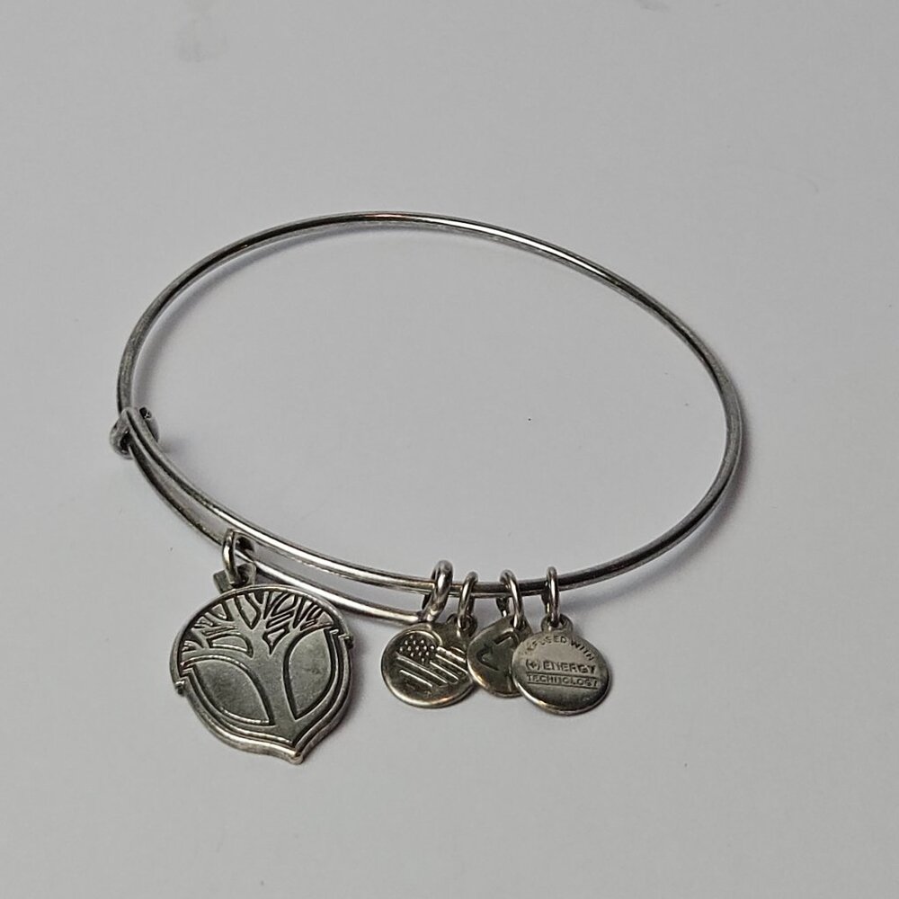Alex and Ani 2016 Unexpected Miracles Bangle Bracelet